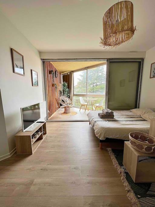 The Jungle Studio, Loggia & Parking Dans Residence Роман-сюр-Ізер Екстер'єр фото